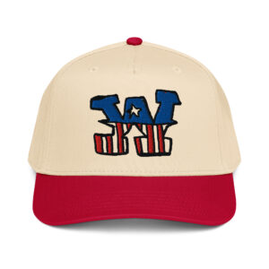 Audawinner logo hat